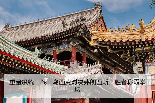 zhong-liang-ji-tong-yi-zhan-wu-xi-ke-dui-jue-fu-lang-xi-si-sheng-zhe-cheng-ba-quan-tan-2-637.jpg