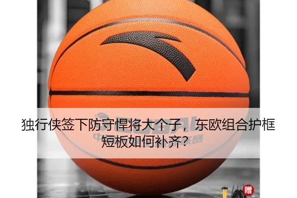 独行侠签下防守悍将大个子，东欧组合护框短板如何补齐？