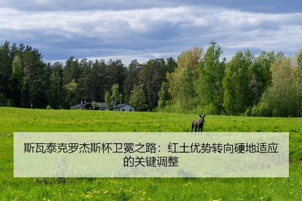 si-wa-tai-ke-luo-jie-si-bei-wei-mian-zhi-lu-hong-tu-you-shi-zhuan-xiang-ying-di-shi-ying-de-guan-jian-tiao-zheng-2-388.jpg